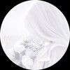 milkchiffon